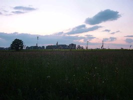 Natur pur! Pferde, Hirsche, Rehe...
